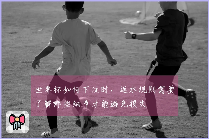 世界杯如何下注时,返水规则需要了解哪些细节才能避免损失