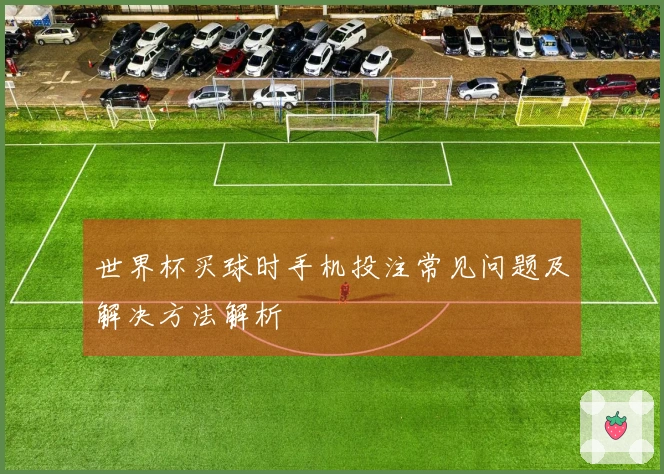 世界杯买球时手机投注常见问题及解决方法解析
