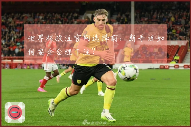 世界杯投注官网选择前，新手该如何安全合理下注？