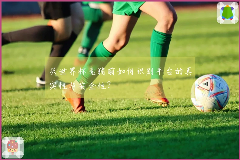 买世界杯竞猜前如何识别平台的真实性与安全性?