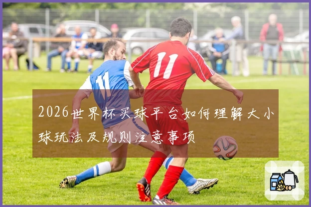 2026世界杯买球平台如何理解大小球玩法及规则注意事项