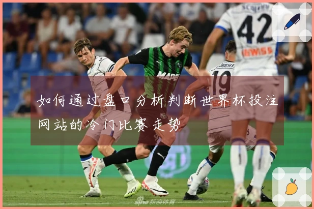 如何通过盘口分析判断世界杯投注网站的冷门比赛走势