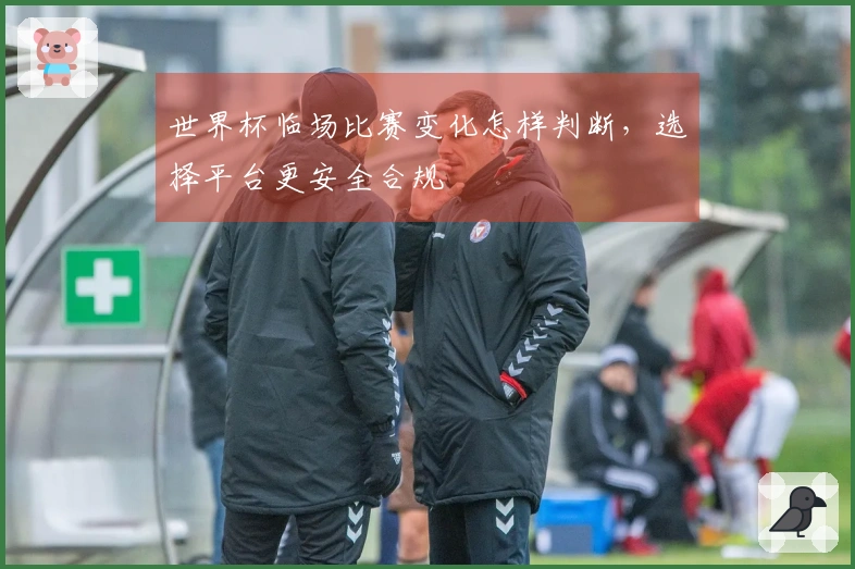世界杯临场比赛变化怎样判断，选择平台更安全合规