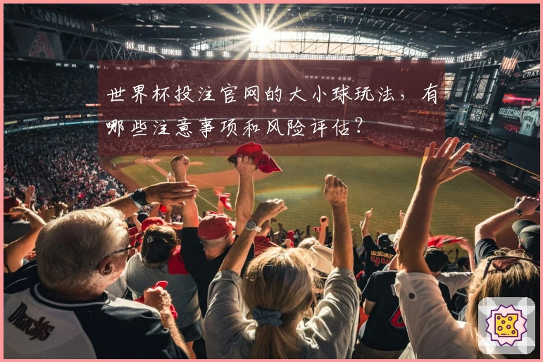 世界杯投注官网的大小球玩法，有哪些注意事项和风险评估？