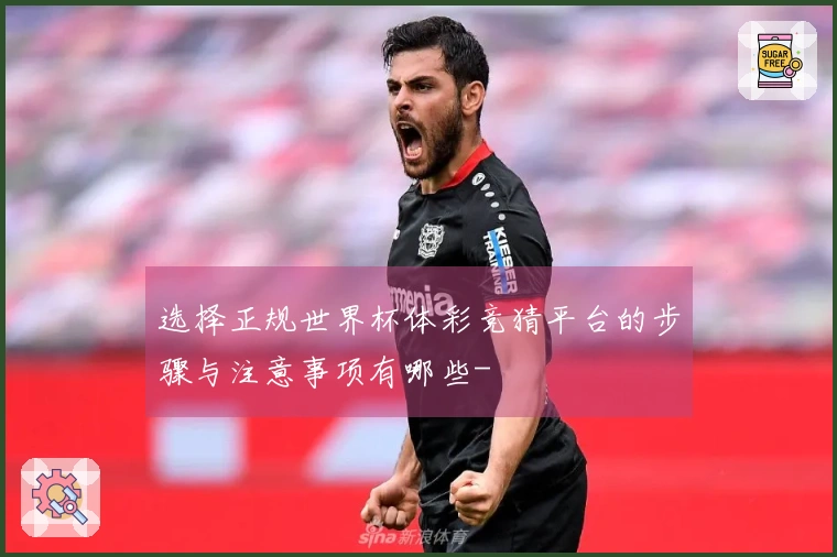选择正规世界杯体彩竞猜平台的步骤与注意事项有哪些-