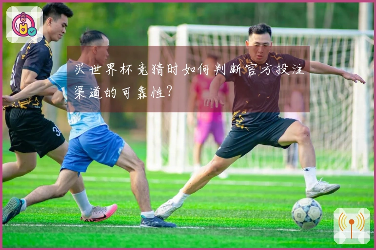 买世界杯竞猜时如何判断官方投注渠道的可靠性？