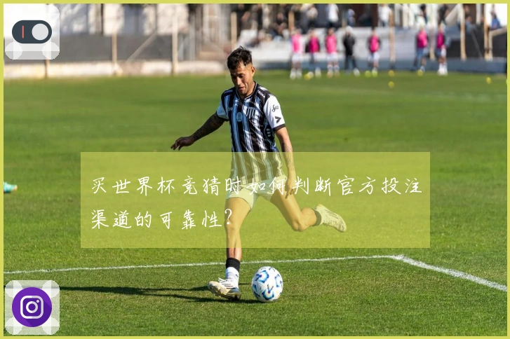 买世界杯竞猜时如何判断官方投注渠道的可靠性？