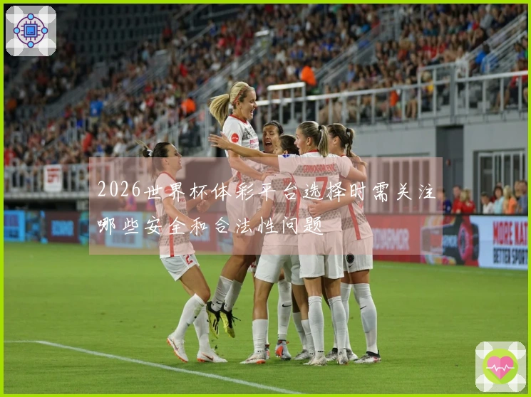 2026世界杯体彩平台选择时需关注哪些安全和合法性问题