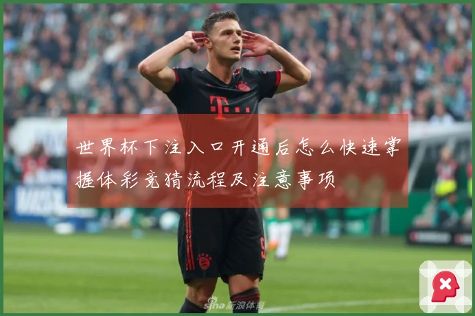 世界杯下注入口开通后怎么快速掌握体彩竞猜流程及注意事项