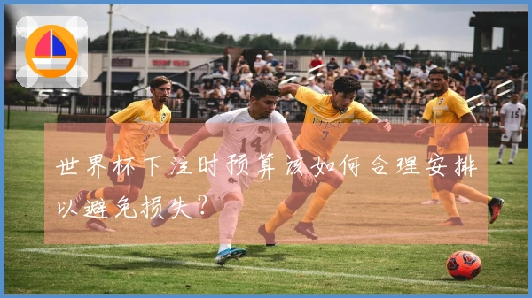 世界杯下注时预算该如何合理安排以避免损失?