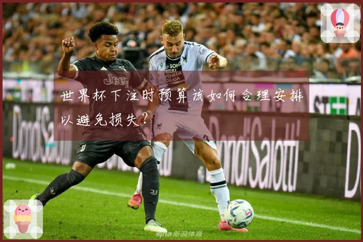 世界杯下注时预算该如何合理安排以避免损失？