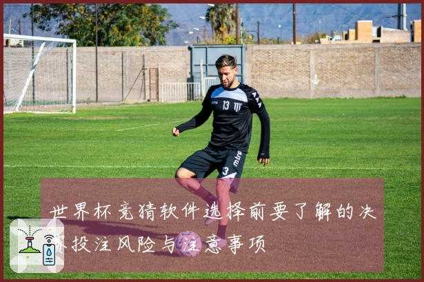 世界杯竞猜软件选择前要了解的决赛投注风险与注意事项