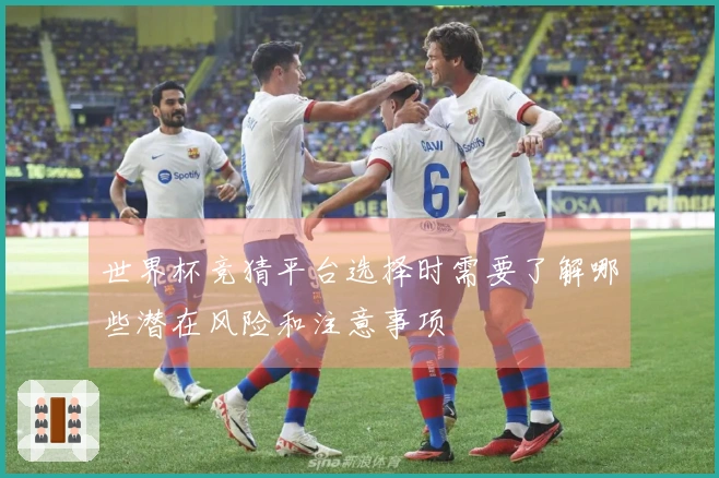 世界杯竞猜平台选择时需要了解哪些潜在风险和注意事项