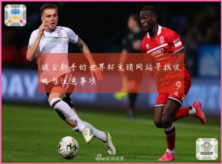 适合新手的世界杯竞猜网站寻找攻略与注意事项