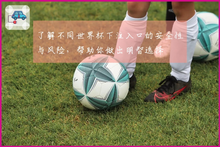 了解不同世界杯下注入口的安全性与风险,帮助你做出明智选择