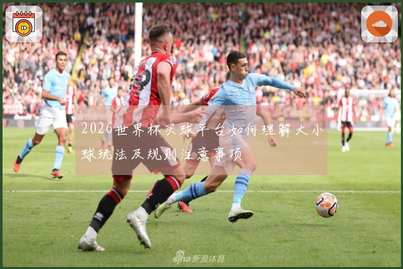 2026世界杯买球平台如何理解大小球玩法及规则注意事项
