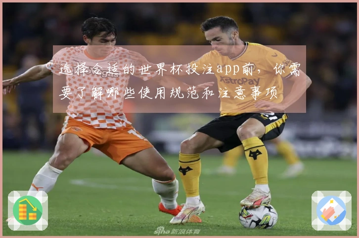 选择合适的世界杯投注app前，你需要了解哪些使用规范和注意事项