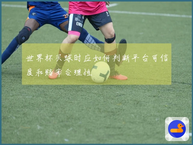 世界杯买球时应如何判断平台可信度和赔率合理性