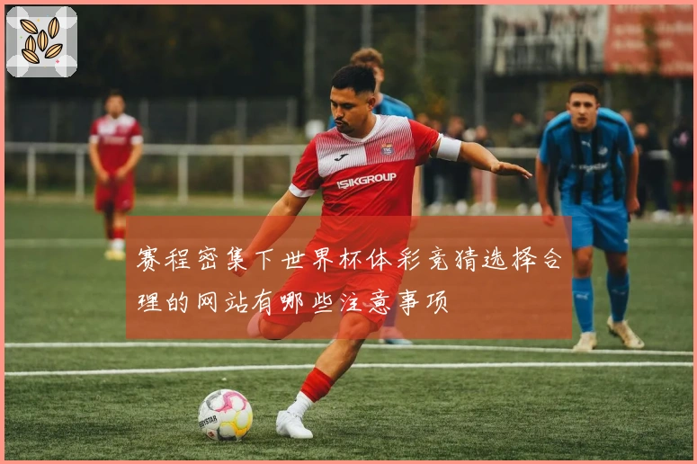 赛程密集下世界杯体彩竞猜选择合理的网站有哪些注意事项