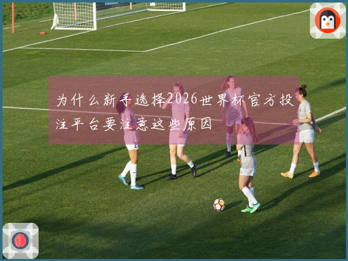 为什么新手选择2026世界杯官方投注平台要注意这些原因