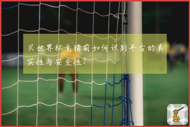买世界杯竞猜前如何识别平台的真实性与安全性？