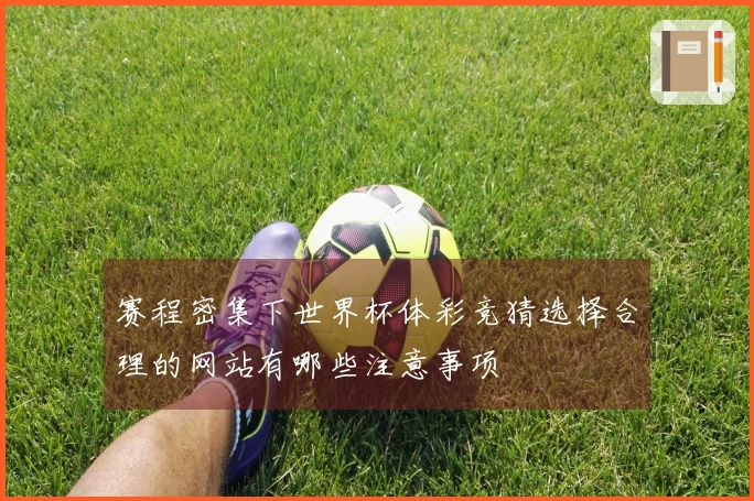 赛程密集下世界杯体彩竞猜选择合理的网站有哪些注意事项