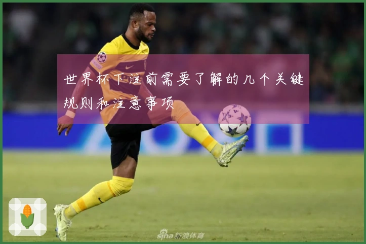 世界杯下注前需要了解的几个关键规则和注意事项