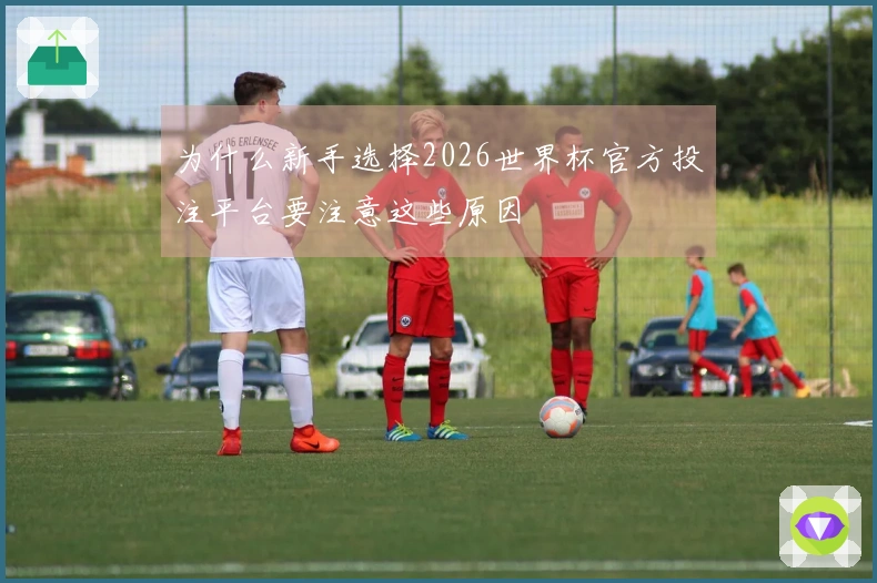 为什么新手选择2026世界杯官方投注平台要注意这些原因