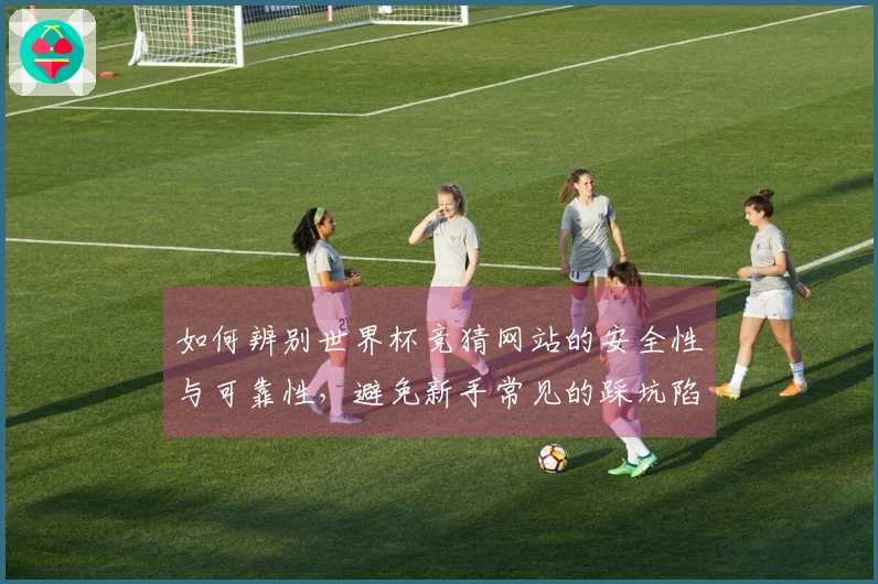如何辨别世界杯竞猜网站的安全性与可靠性，避免新手常见的踩坑陷阱？
