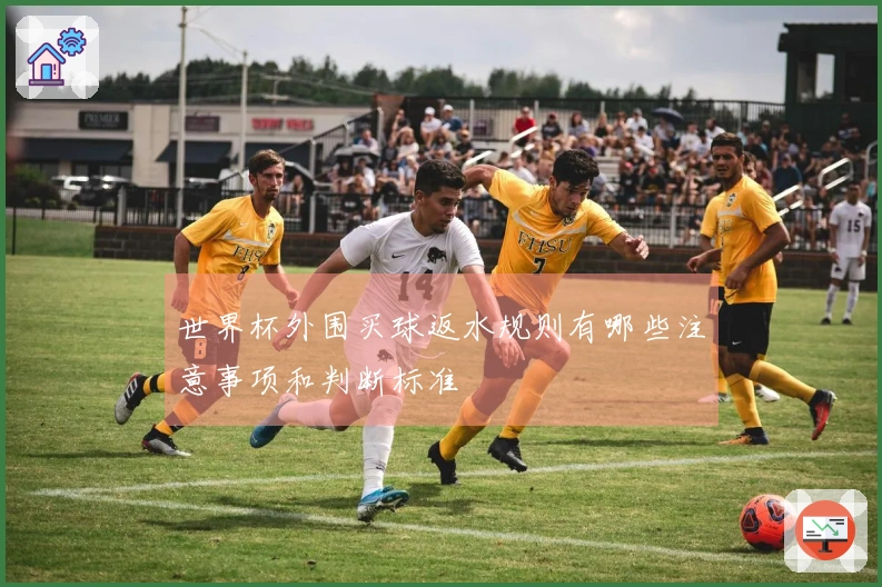世界杯外围买球返水规则有哪些注意事项和判断标准