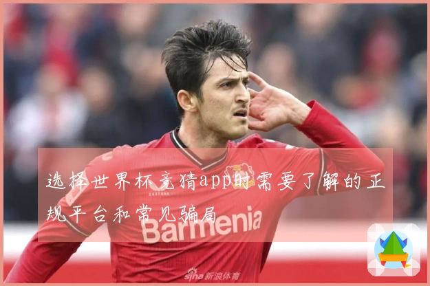 选择世界杯竞猜app时需要了解的正规平台和常见骗局