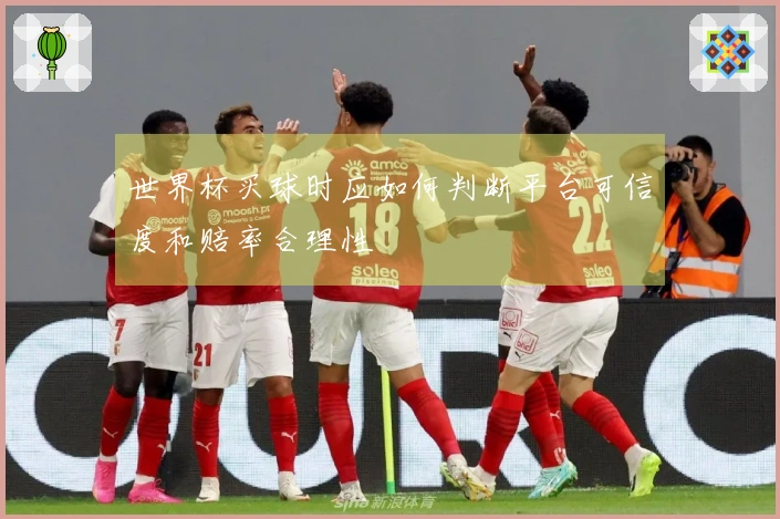 世界杯买球时应如何判断平台可信度和赔率合理性