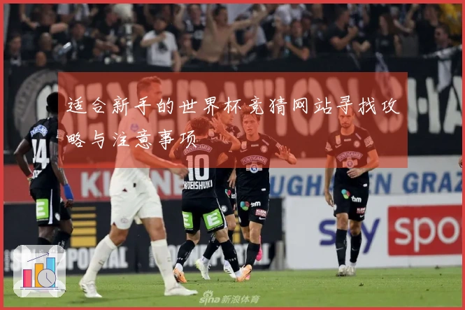 适合新手的世界杯竞猜网站寻找攻略与注意事项