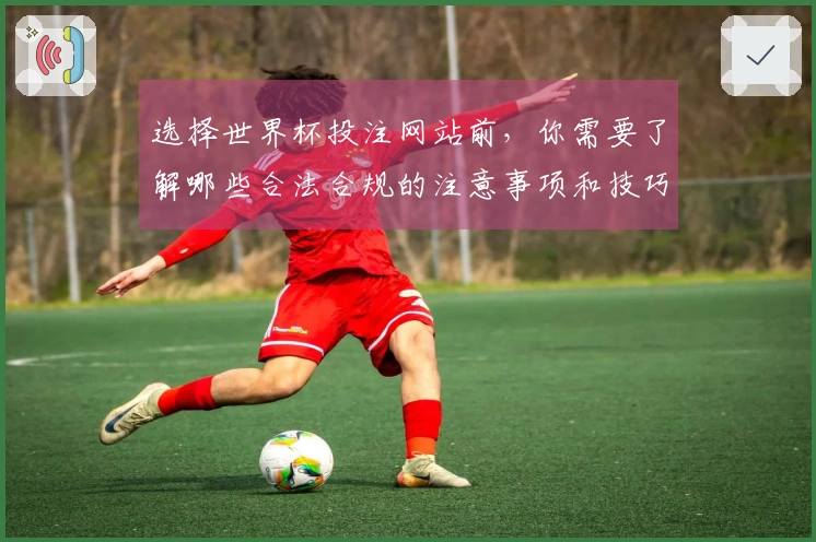 选择世界杯投注网站前，你需要了解哪些合法合规的注意事项和技巧